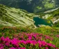 Parcul Național Retezat  Foto Marius Popa  mabuz Travel (10) jpg