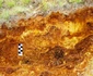 exploatarea rosia montana foto lucian muntean LM 29 JPG