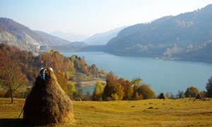 WhatsApp Image 2024 05 13 at 08 38 54 jpeg