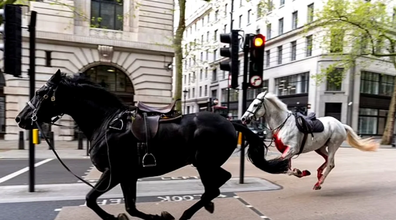 foto cai militari Londra