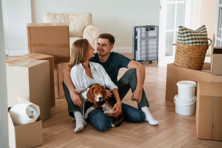 Capcanele imobiliare. Cum te asiguri că apartamentul pe care vrei să îl cumperi nu devine „țeapa vieții”