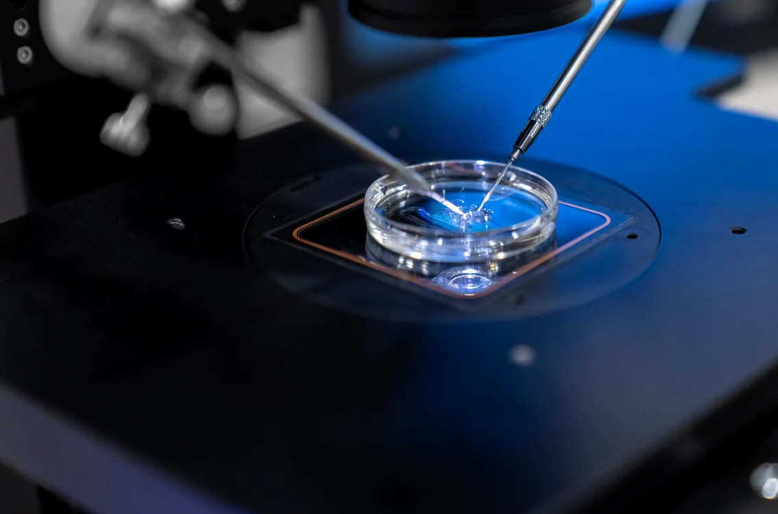 16 IULIE Fertilizare in vitro dr  Stan Alexandru png