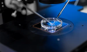 16 IULIE Fertilizare in vitro dr  Stan Alexandru png