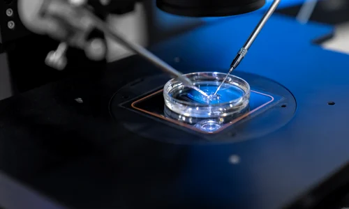 16 IULIE Fertilizare in vitro dr  Stan Alexandru png