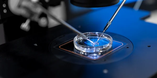 16 IULIE Fertilizare in vitro dr  Stan Alexandru png