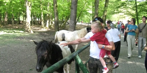 Mureşenii vor putea vizita grădina Zoologică 