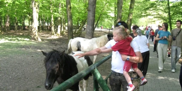 Mureşenii vor putea vizita grădina Zoologică 
