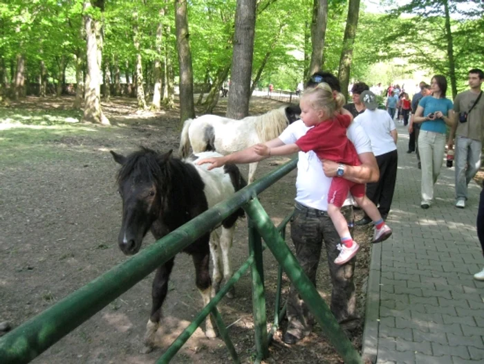 Mureşenii vor putea vizita grădina Zoologică