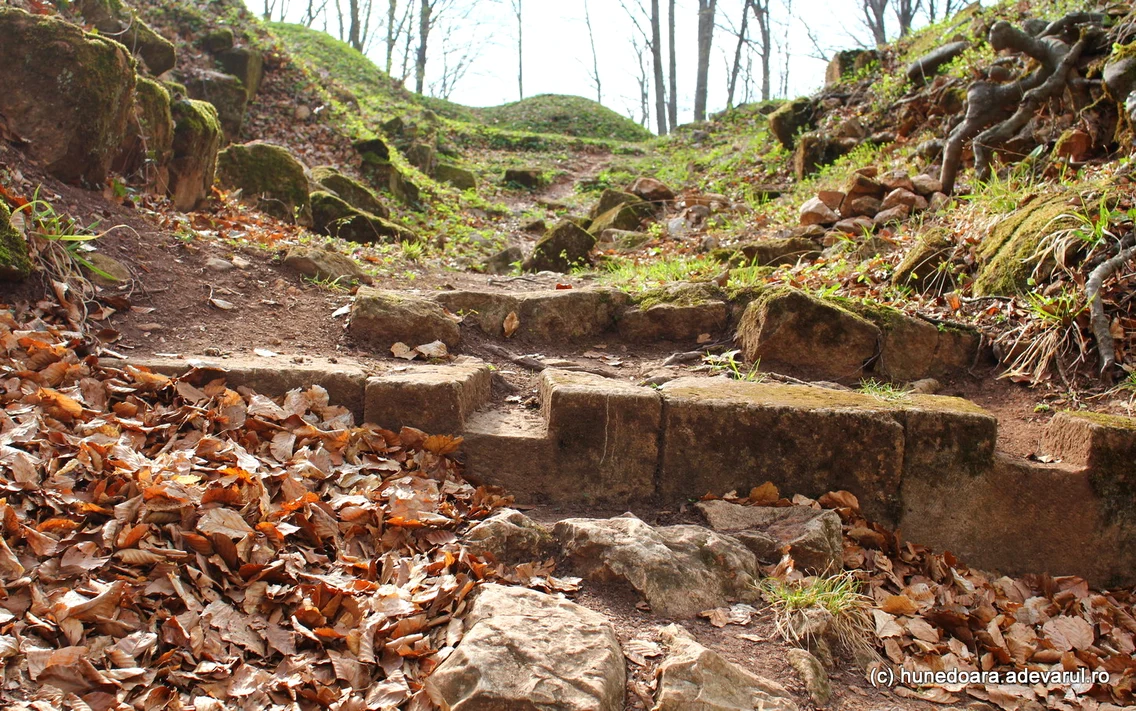 Cetatea dacica Piatra Roșie  Foto Daniel Guță ADEVĂRUL (7) jpg