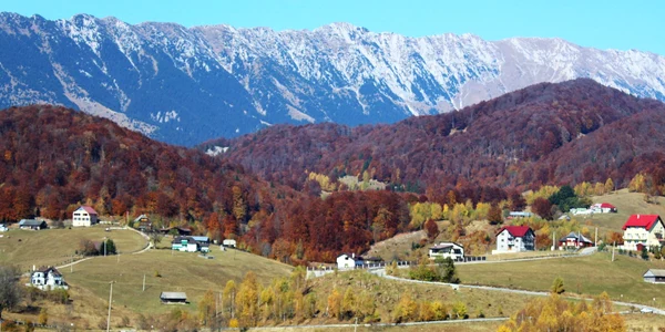 Arges   Dambovicioara jpg