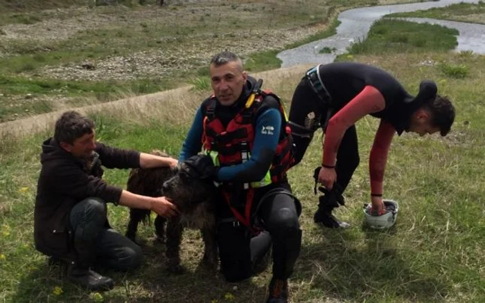 Câinele a fost salvat dintre şovoaiele râului Sohodol                                          FOTO: Salvamont Gorj