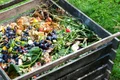 compost jpeg