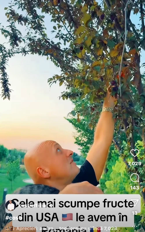 Costi are în curte și corcoduși, atât galbeni cât și roșii