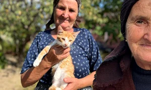 banner bunica gherghina png