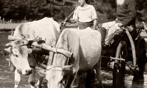 Expoziția „100 de ani – România în National Geographic” jpeg