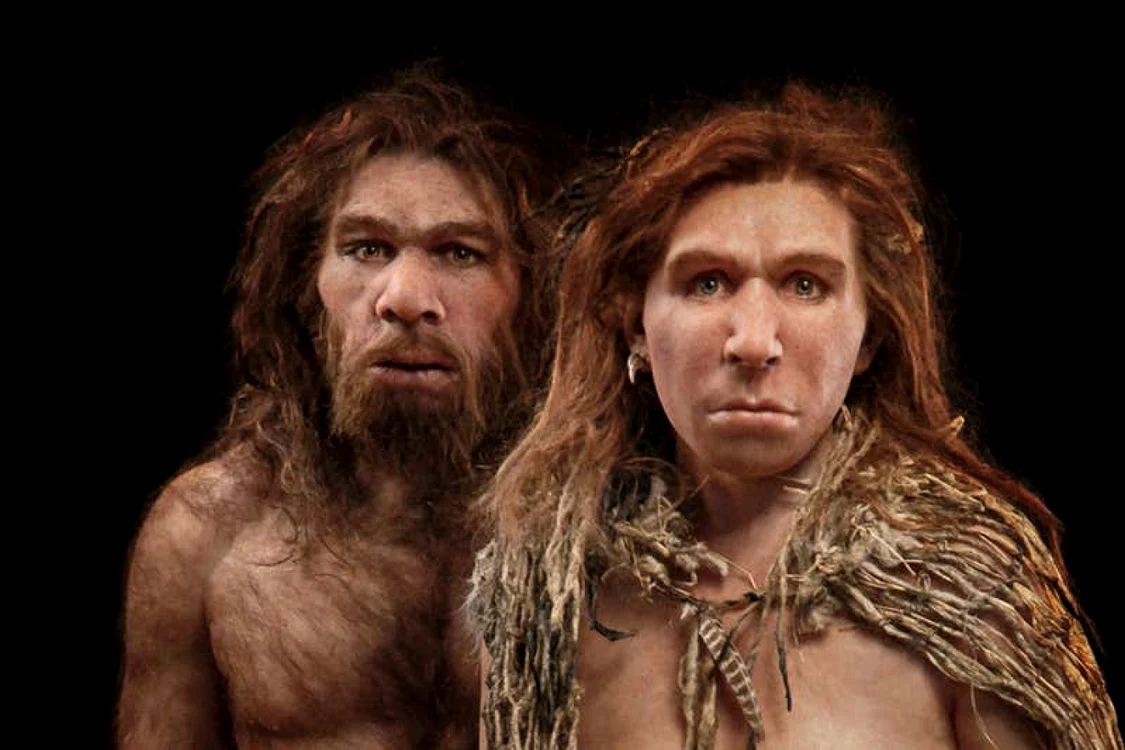 O reconstituire a omului de Neanderthal. FOTO: S. ENTRESSANGLE/E. DAYNES/SCIENCE PHOTO LIBRARY