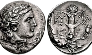 O monedă a lui Magas din Cirene (cca. 300–282/75 î.Hr.). Pe revers este reprezentat un silphium (© CNG Coins / Wikimedia Commons)
