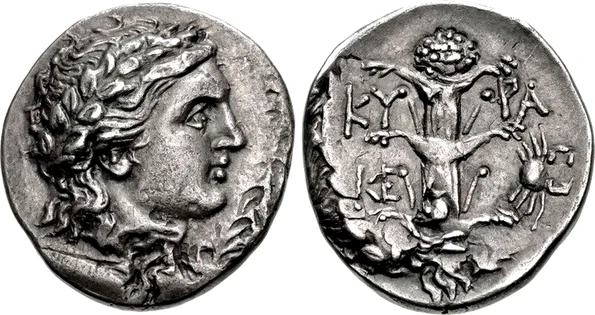O monedă a lui Magas din Cirene (cca. 300–282/75 î.Hr.). Pe revers este reprezentat un silphium (© CNG Coins / Wikimedia Commons)