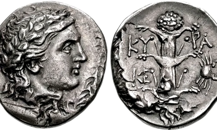 O monedă a lui Magas din Cirene (cca. 300–282/75 î.Hr.). Pe revers este reprezentat un silphium (© CNG Coins / Wikimedia Commons)