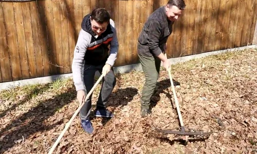 Aurel Tămaș a săpat și a greblat în curtea lui din Cluj jpeg