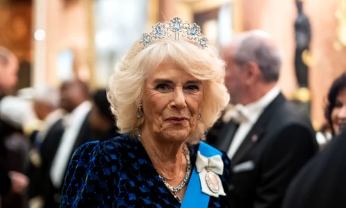 Regina Camilla, Profimedia (5) jpg