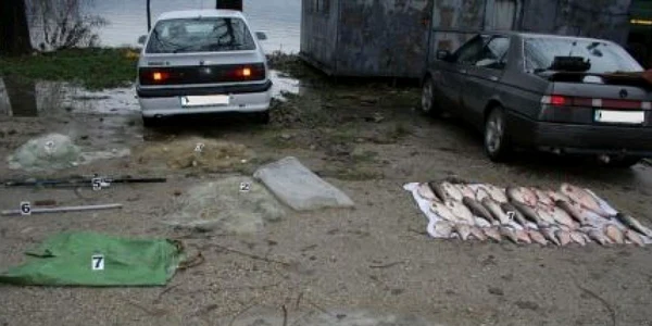 Întreaga cantitate de peşte a fost confiscată 