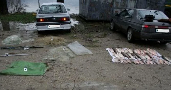 Întreaga cantitate de peşte a fost confiscată