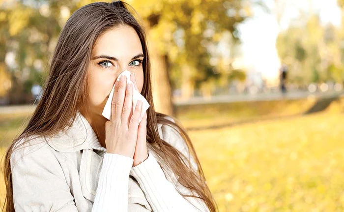 În timpul răcelilor, poţi face inhalaţii cu muguri de pin