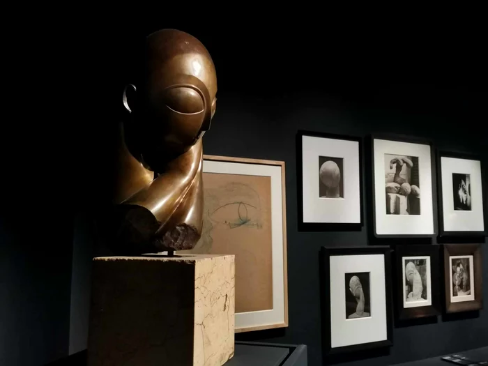 Expo Brâncuși FOTO Ștefan Both