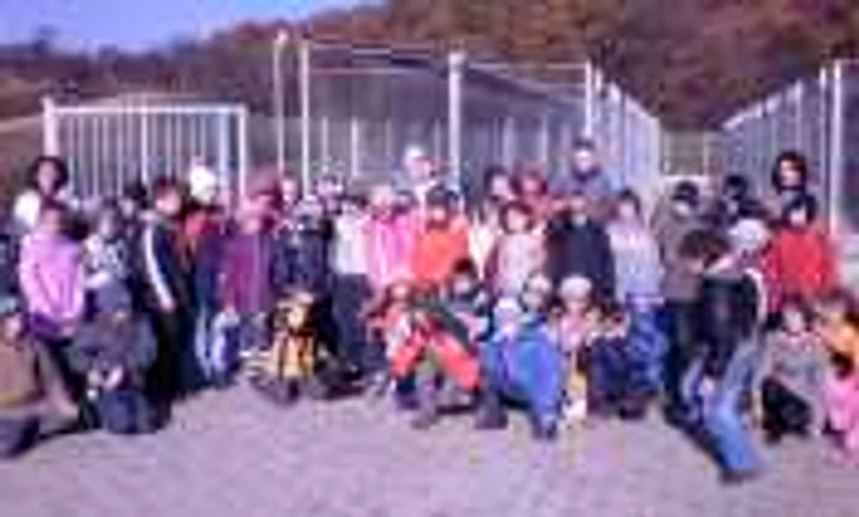 Două clase de la "Ghibu" au fost deja în vizită la adăpostul pentru câini din Dealul Guşteriţei 