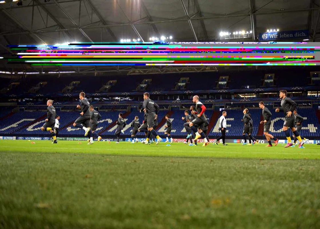 antrenament steaua schalke foto razvan pasarica
