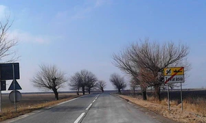Cu ochii n 3,14 jpeg