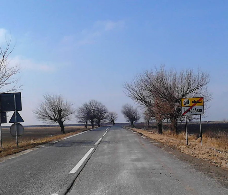 Cu ochii n 3,14 jpeg