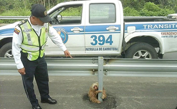 "Domnule poliţist, sigur nu am depăşit viteza legală?"
