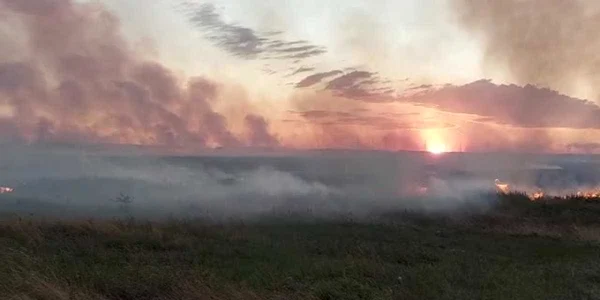 Incendiu de vegetaţie în Olt, în apropiere de Slatina