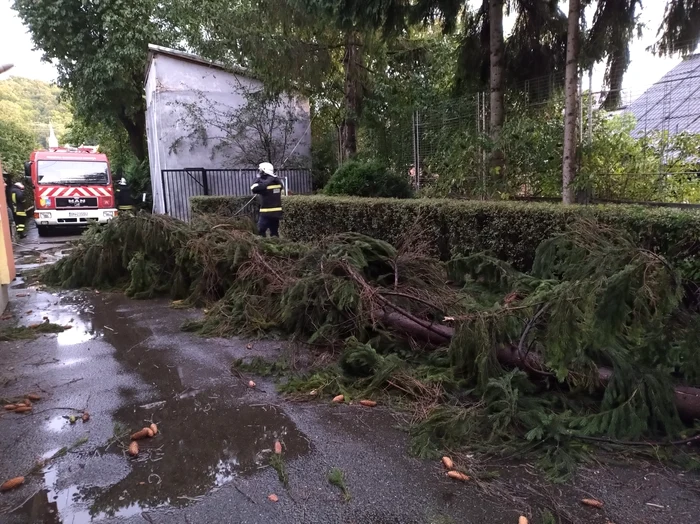 Furtuna a produs pagube și în Bistrița Foto: ISU Bistrița