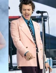 Lady Gaga, Harry Style foto Shutterstock jpg