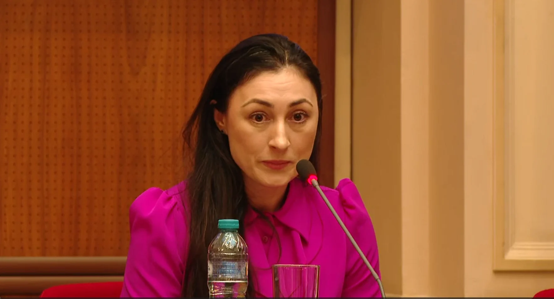 Andreea Nica (CFA): România are nevoie de euro ca să fie „forțată” să aibă disciplină fiscală
