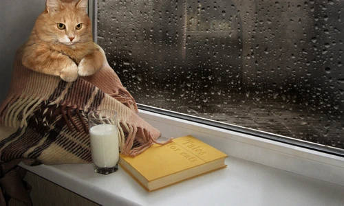 1 shutterstock 416174209 jpg jpeg