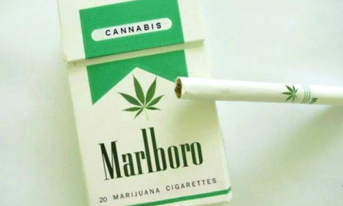 marijuana 0 jpeg