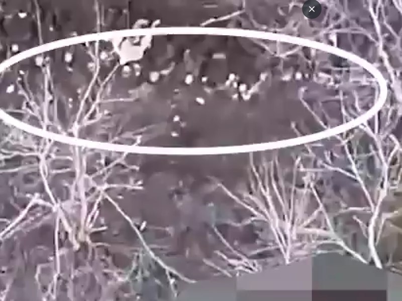 Imagini pe care rușii ar vrea să le ascundă. Zeci de cadavre ale soldaților nord-coreeni au fost filmate cu dorna de ucraineni