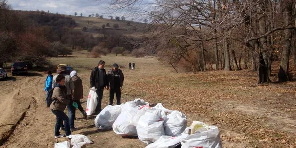 Angajaţii primăriei au strâns gunoaiele din pădurea Aghireşului