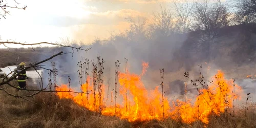 incendii vegetatie uscata