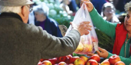 Recolta s-a dublat, zootehnia scade