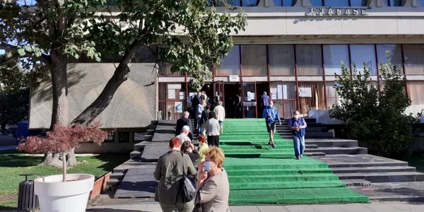 alegeri vaslui