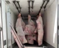 Macelleria di Francesca e Federico (17) jpg