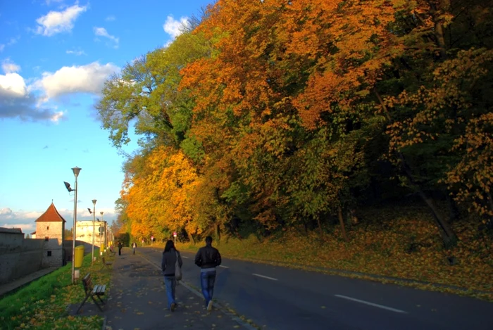 
    Cei ce respectă aceste tradiţii au parte de spor, noroc şi sănătate în casăFoto: Arhiva Adevărul  