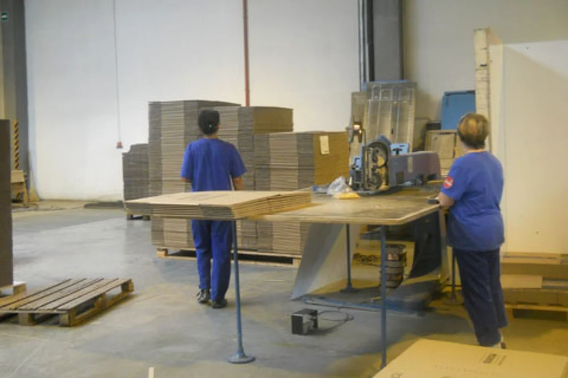 Rondocarton vrea să vândă cu 5% mai mult carton anul acesta