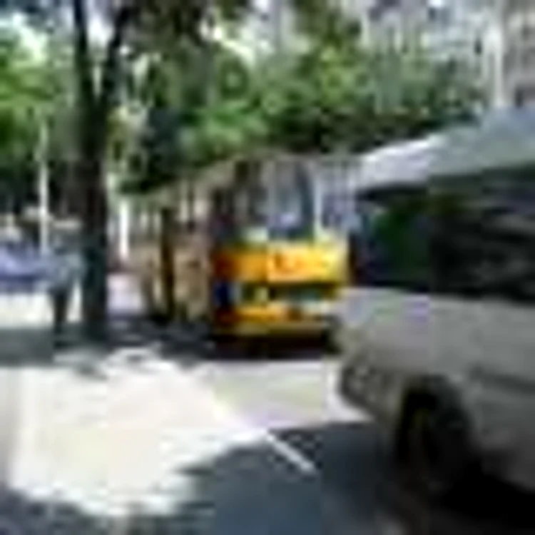 S-a stabilit costul licenţei pentru transportul public