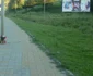accident bicicleta